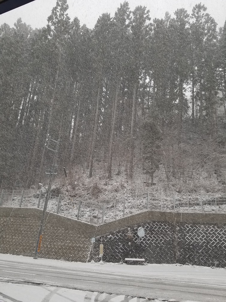 ❄今年１番の雪❄