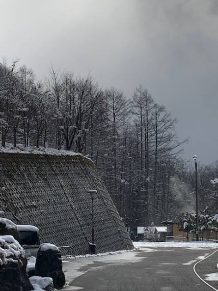 ようやく雪が