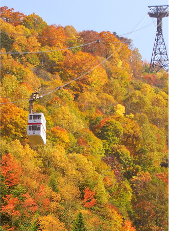 Four seasons of Okuhida