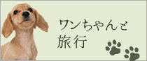 ワンちゃんと旅行